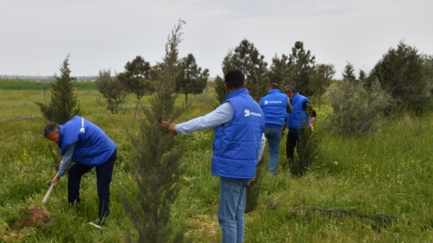 “Aztelekom” MMC-nin kollektivi ağacəkmə aksiyası həyata keçirdi 